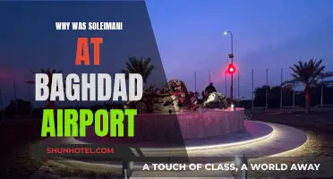 The Mystery Behind Soleimani's Baghdad Airport Visit