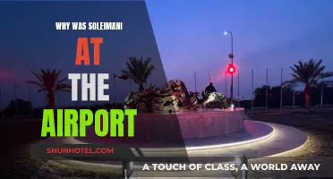 The Mystery of Soleimani's Airport Visit