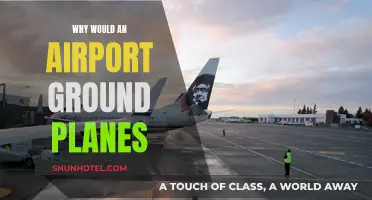 Unexpected Airport Shutdown: What Grounds Planes?