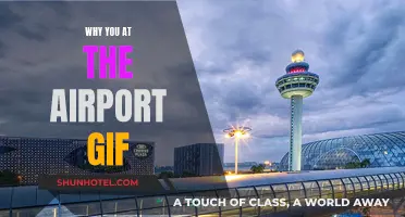Airport Shenanigans: Why Are You Here?