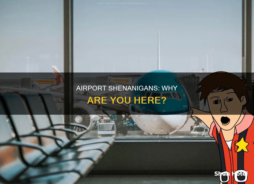 why you at the airport gif