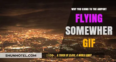 Why You're Heading to the Airport: Flying Somewhere GIF Explained