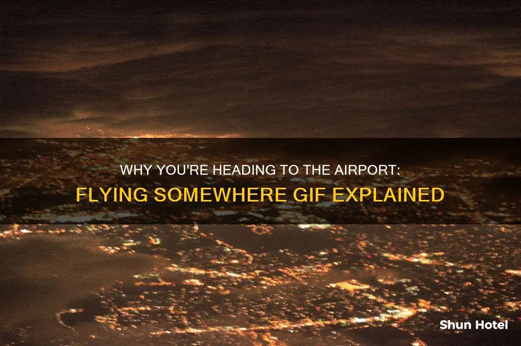 why you going to the airport flying somewhere gif