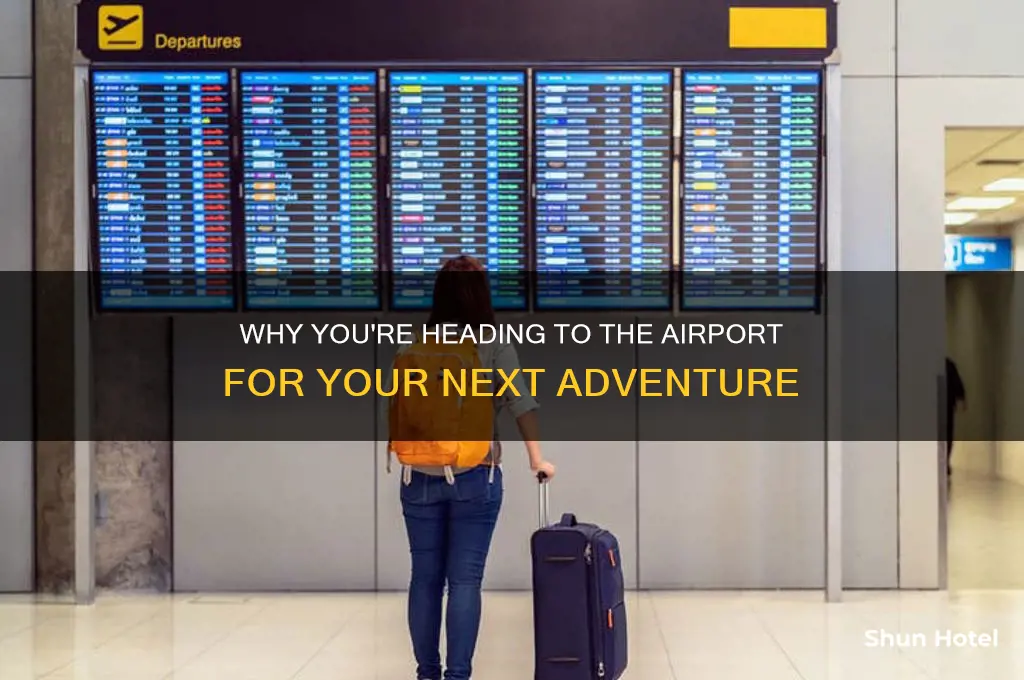 why you going to the airport flying somewhere
