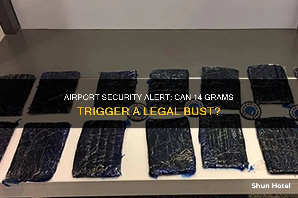 will 14 grams get you busted on the airport