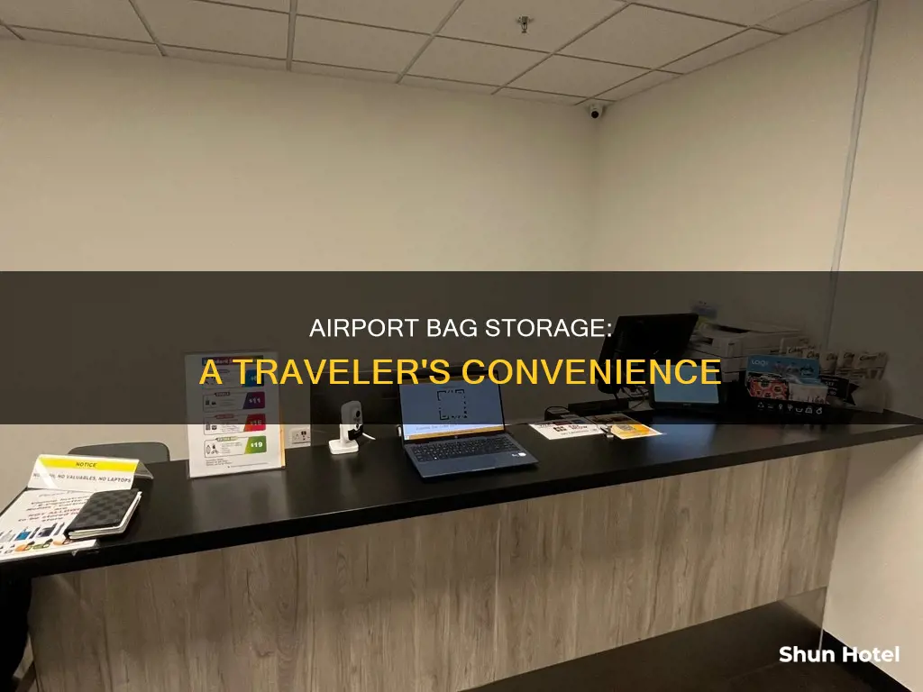 will a airport hold your bags