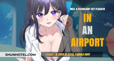 Traveling with a Fleshlight: Airport Security and Privacy Concerns
