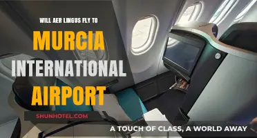 Aer Lingus to Murcia: Will New Routes Include International Airport?
