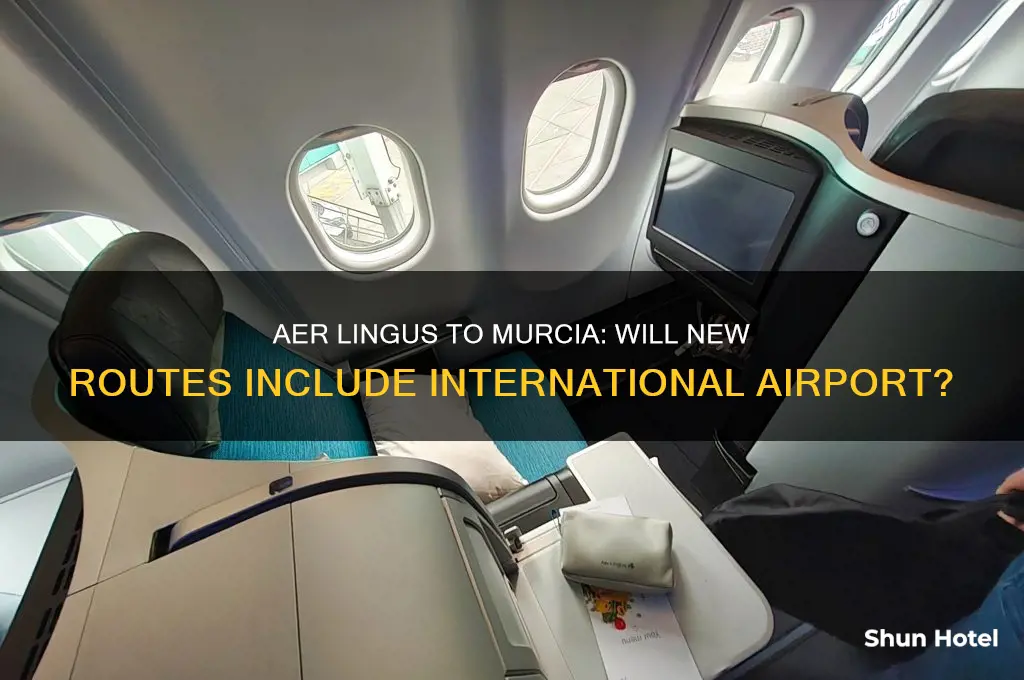 will aer lingus fly to murcia international airport