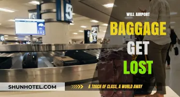 Will Your Airport Baggage Get Lost? Understanding the Risks and Prevention