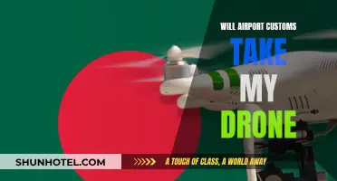 Customs and Your Drone: What You Need to Know