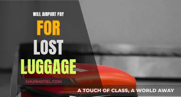 Airport Lost Luggage: What's the Compensation?