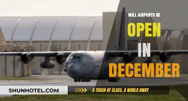December Travel Plans: Will Airports Remain Open This Holiday Season?