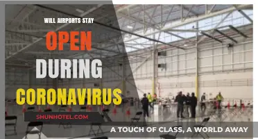 Airports and COVID-19: Will Travel Hubs Remain Operational Amid Pandemic?