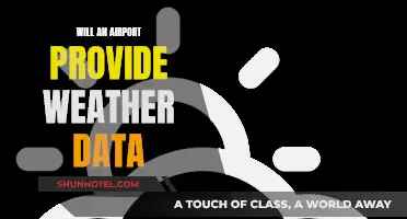 Airports: Weather Data Providers?