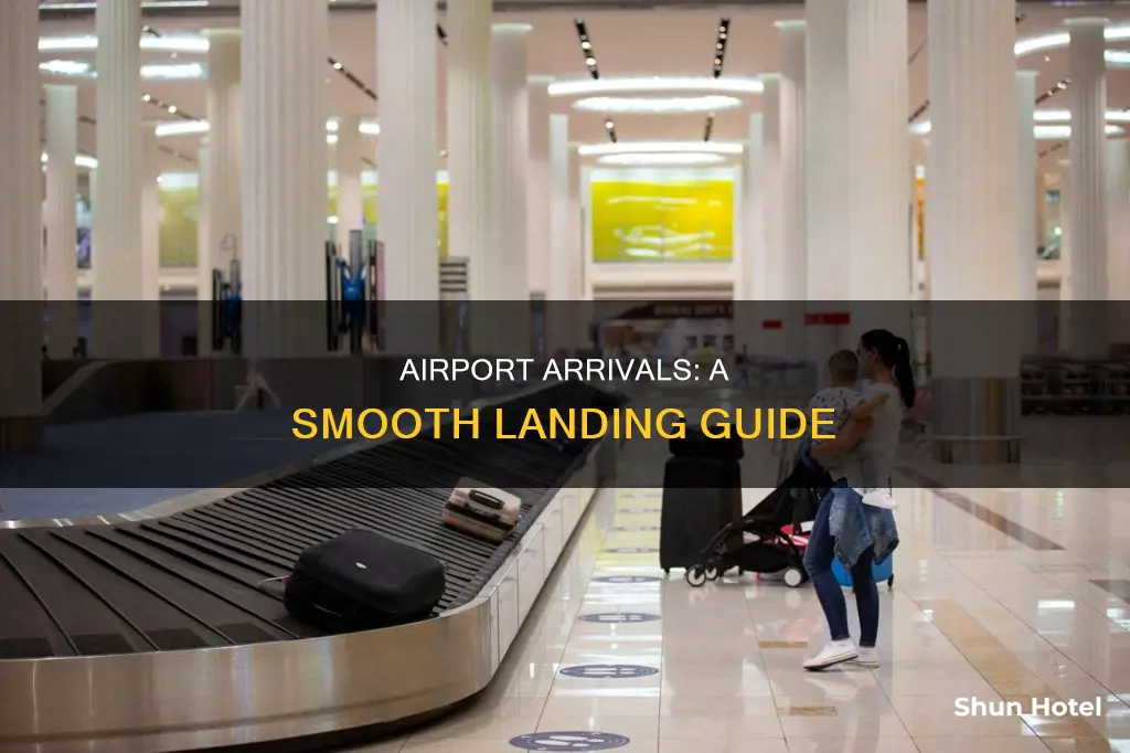 will be arriving at the airport