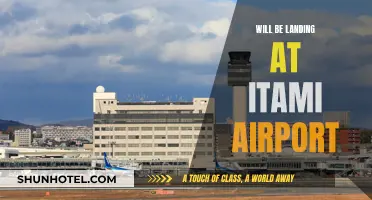 Exploring Osaka: Touchdown at Itami Airport
