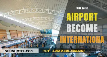 Boise Airport's International Ambitions: Expanding Horizons for Global Travel