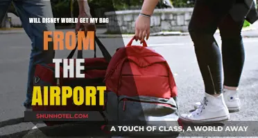 Disney World Baggage Services: Airport Pickup Explained for Travelers