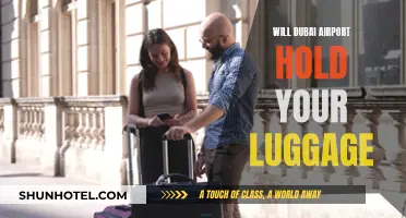 Dubai Airport's Luggage Storage: A Traveler's Convenience