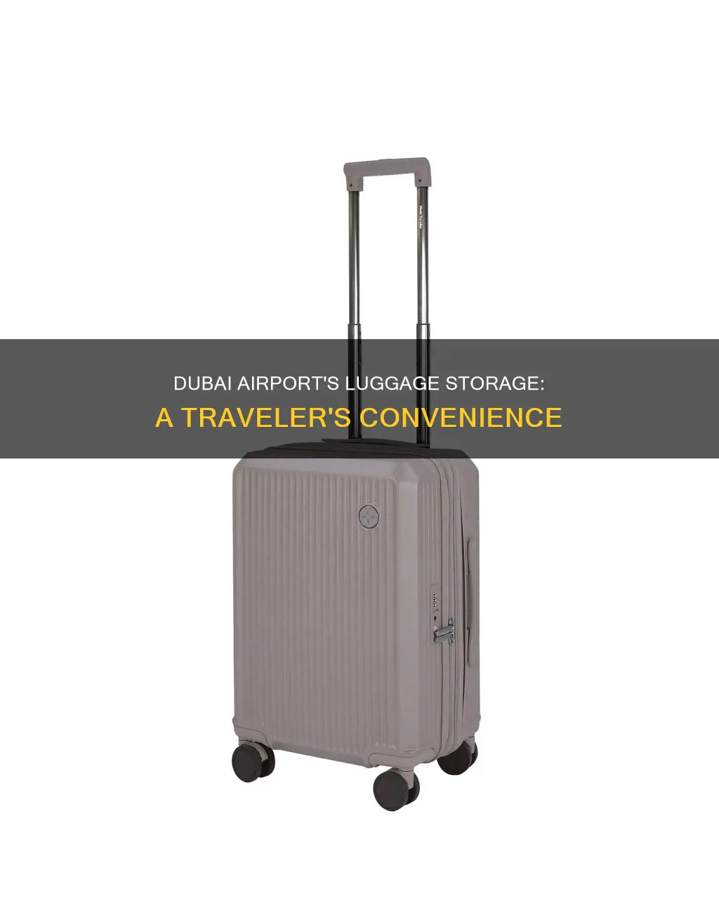 will dubai airport hold your luggage
