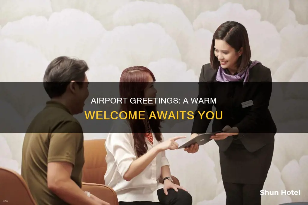 will greet you at the airport