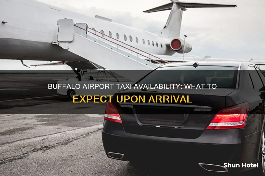 will i get a taxi in buffalo airport