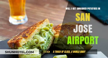 Smashed Potatoes at San Jose Airport: A Traveler's Food Quest