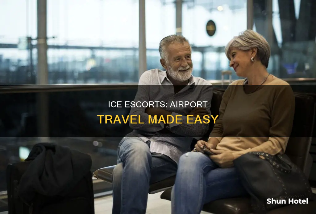 will ice do escorts to airport