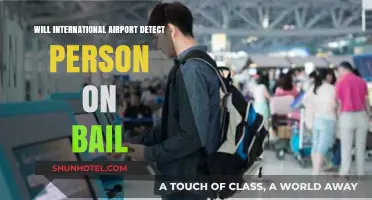 Can International Airports Detect Travelers on Bail? Key Facts Explained
