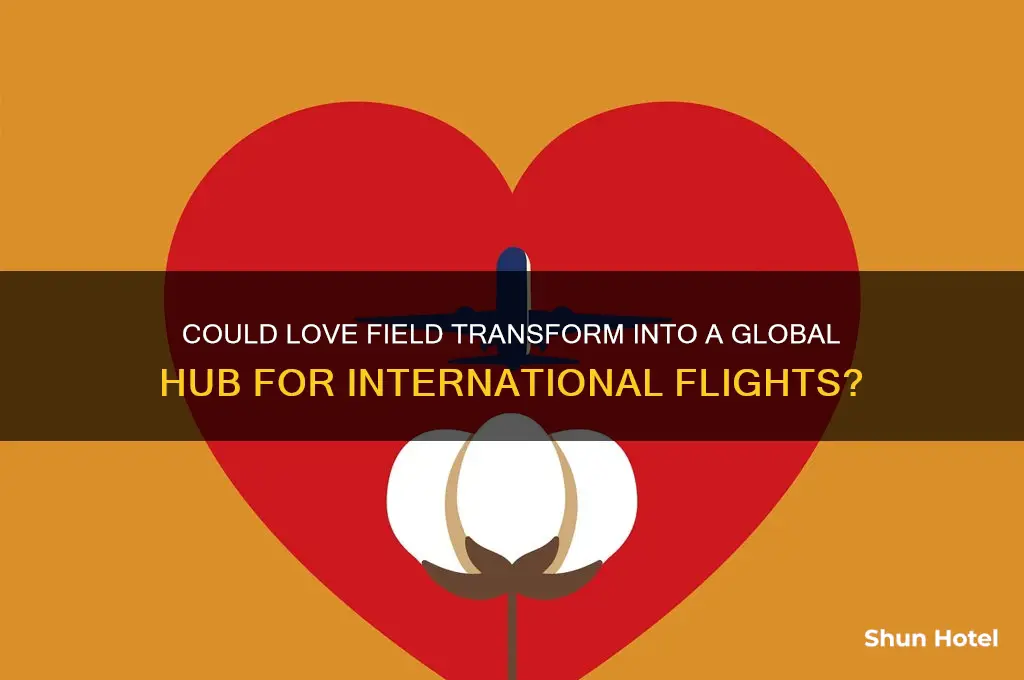 will love field become an international airport