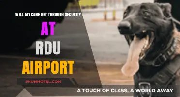 Traveling with a Cane? RDU Airport Security Clearance