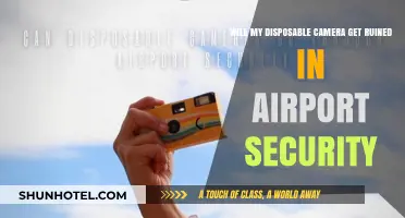 Disposable Cameras and Airport Security: Will Your Film Survive the Scan?