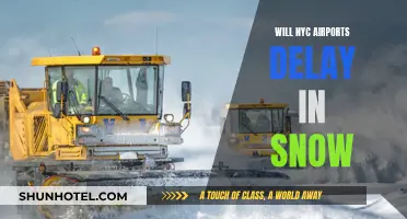 Snow Delays: NYC Airports' Performance Review