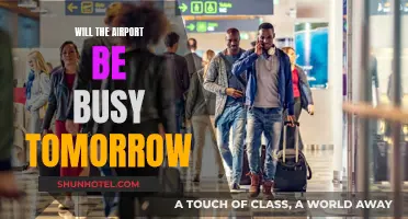 How Busy Will the Airport Be Tomorrow?