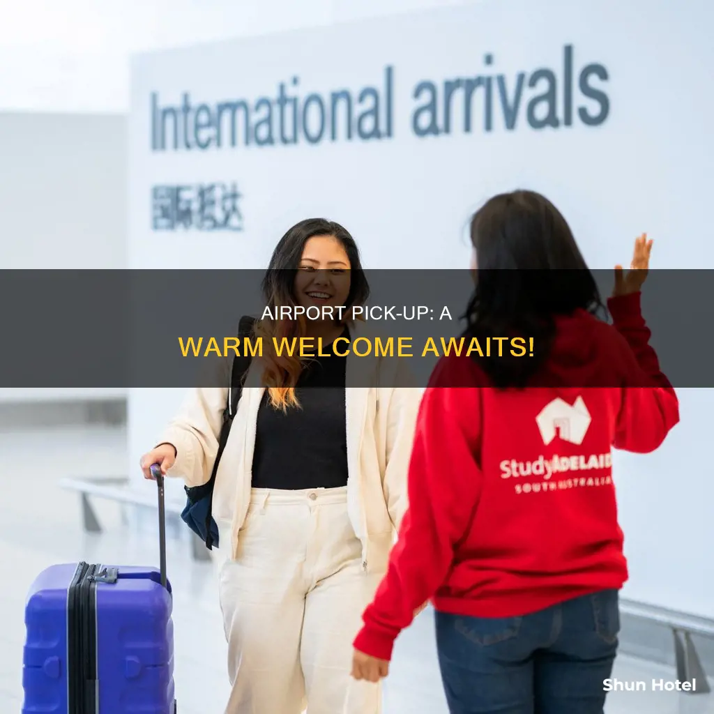 will welcome you at the airport