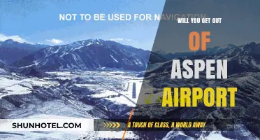 Navigating Aspen Airport: Tips for a Smooth Departure and Arrival