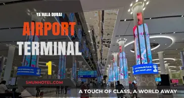 Exploring the New Dubai Airport Terminal 1: A Traveler's Guide