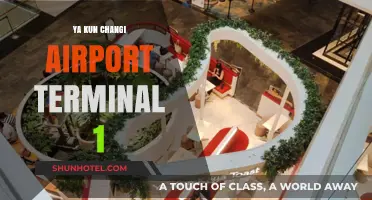 Exploring Ya Kun Changi Airport Terminal 1: A Traveler's Guide