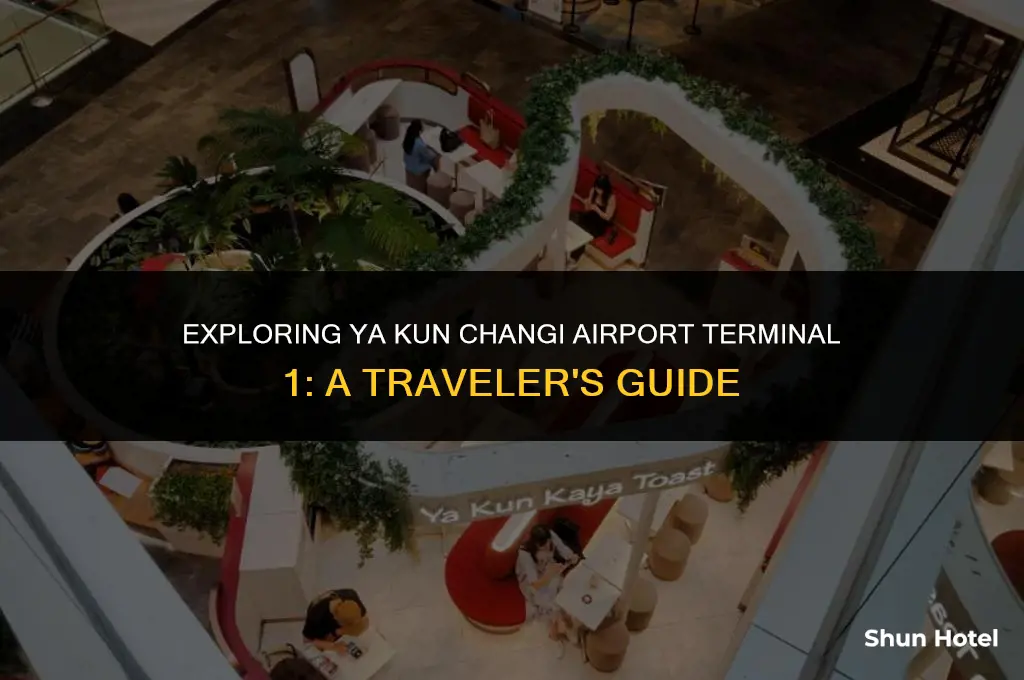 ya kun changi airport terminal 1